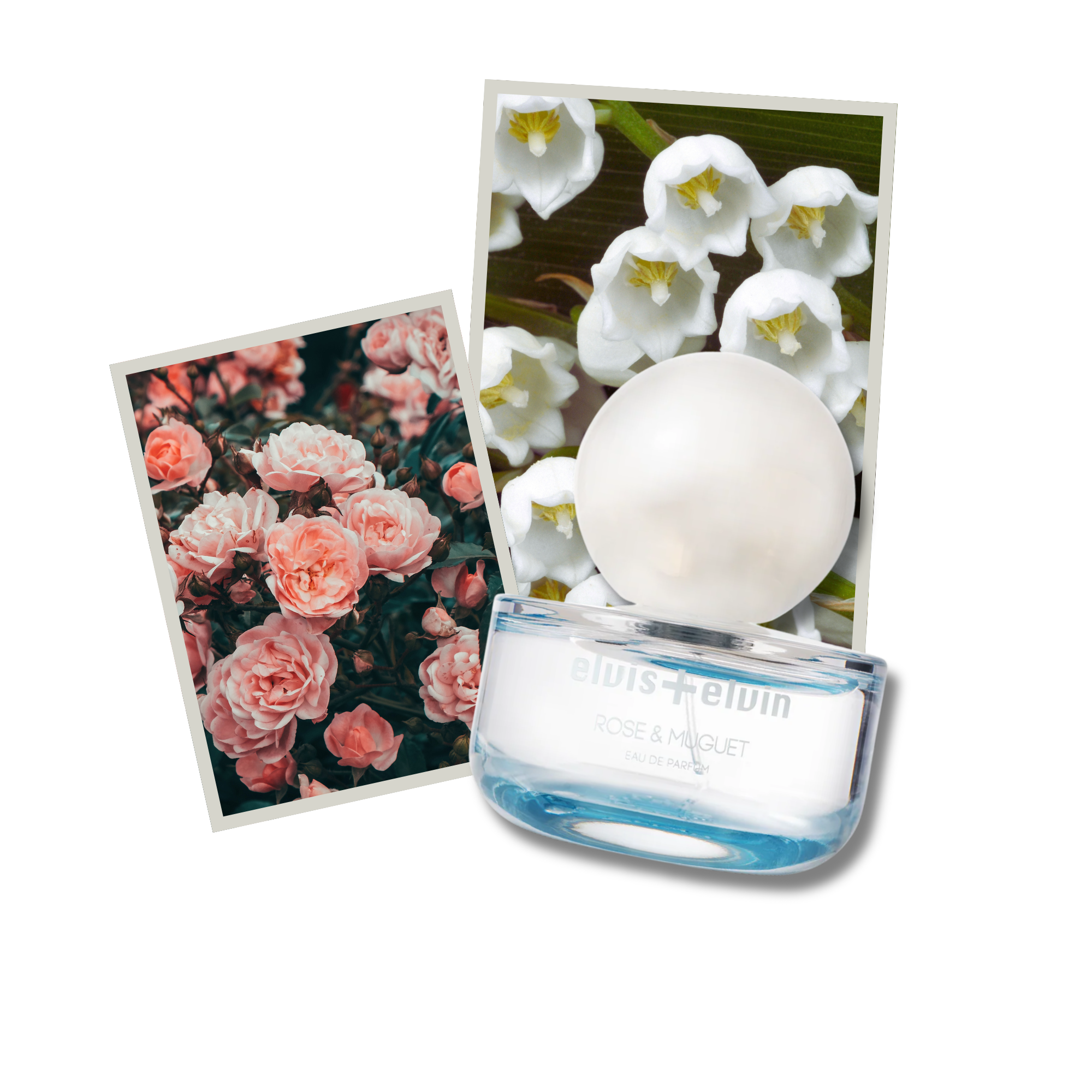 Rose & Muguet Eau de Parfum – elvis+elvin