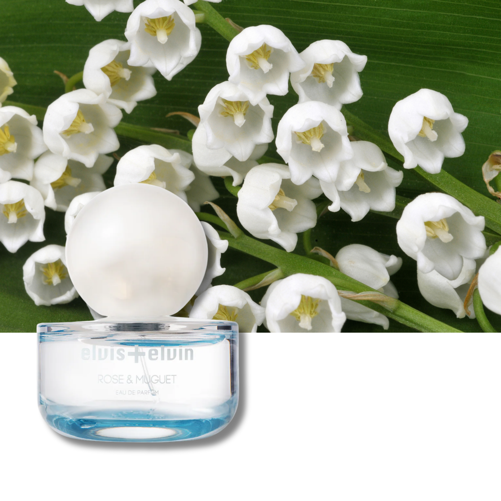 Rose & Muguet Eau de Parfum – elvis+elvin