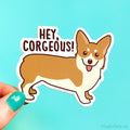 Funny Corgi Vinyl Sticker "Hey Corgeous!"