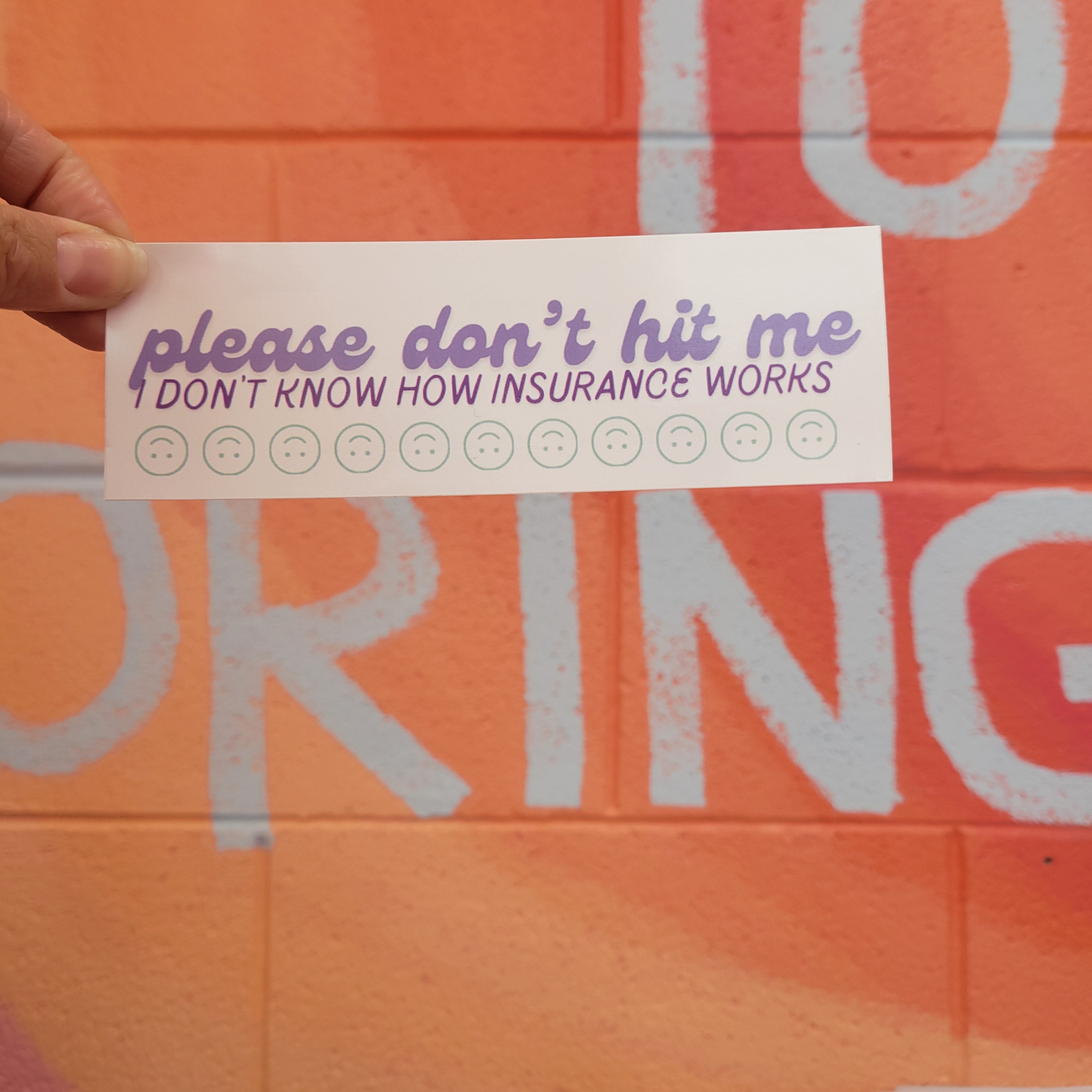 "Please Don't Hit Me..." Mini Bumper Sticker