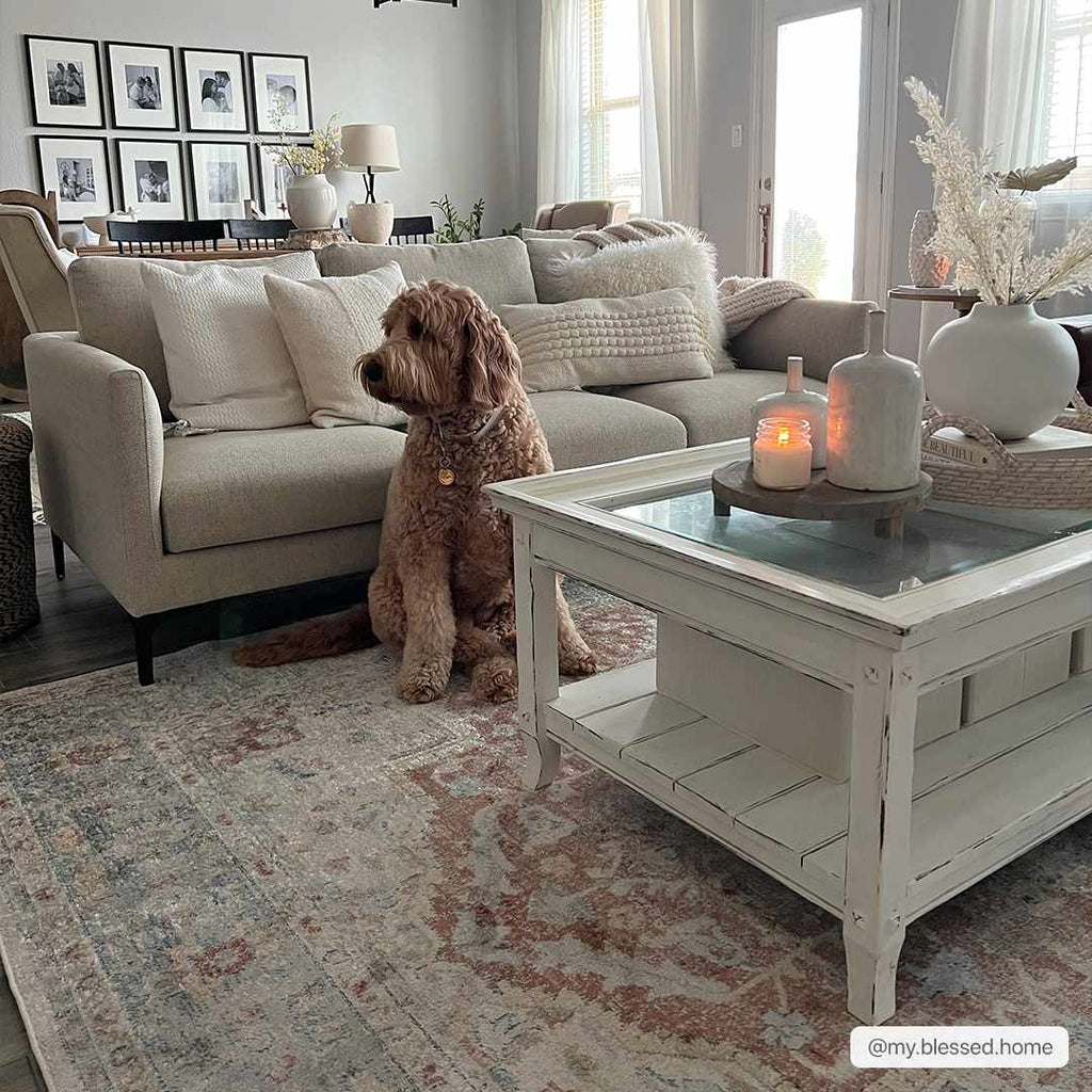 Emke Flat Pile Washable Rug - Clearance