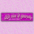 Be Nice To Yourself (You Dumb Bitch) Bumper Sticker