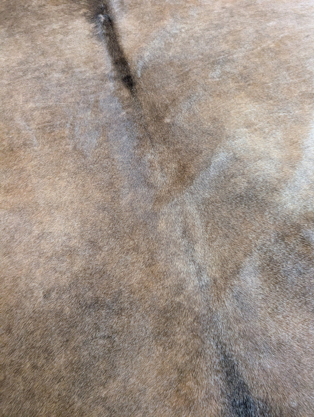"Rattler" Full Cowhide