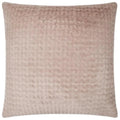 Dainty Blush Pink Throw Pillow With Insert
