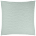 Demure Capri Light Teal Throw Pillow Insert