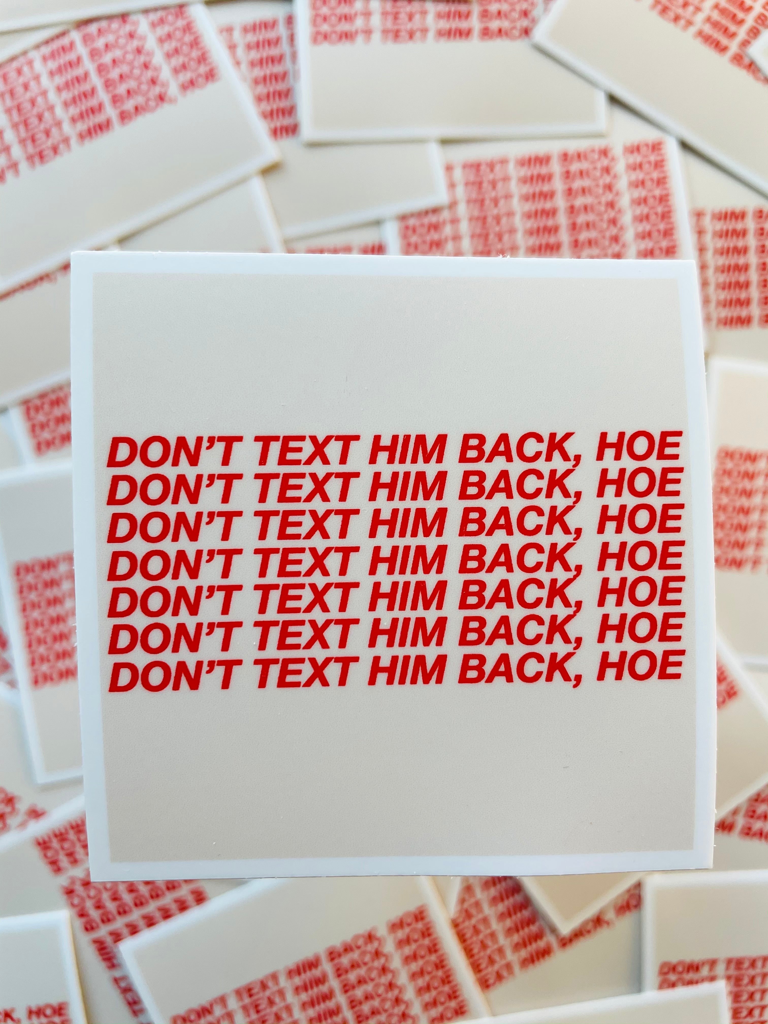 Don't Text Him Back Hoe Sticker