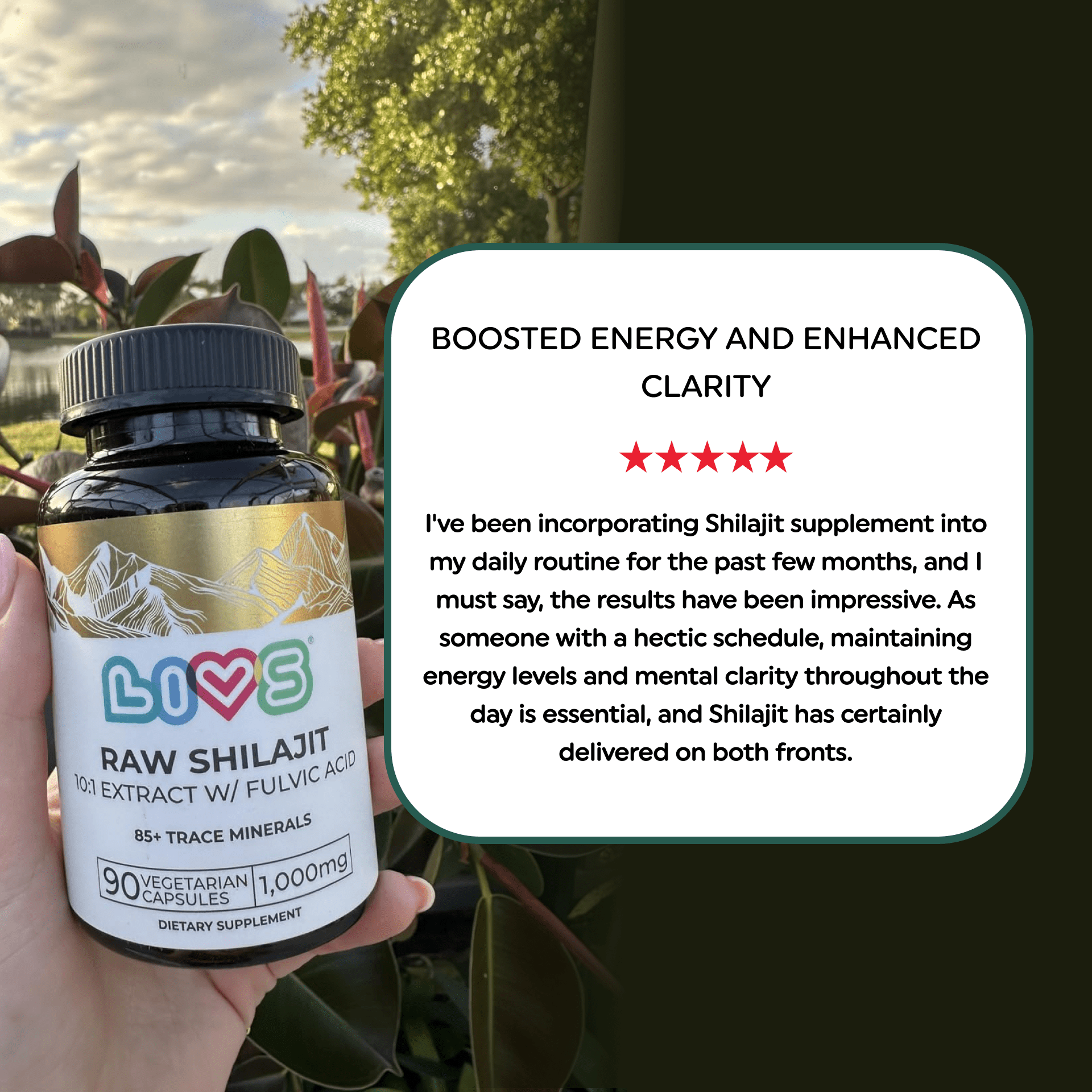 Raw Shilajit Capsules