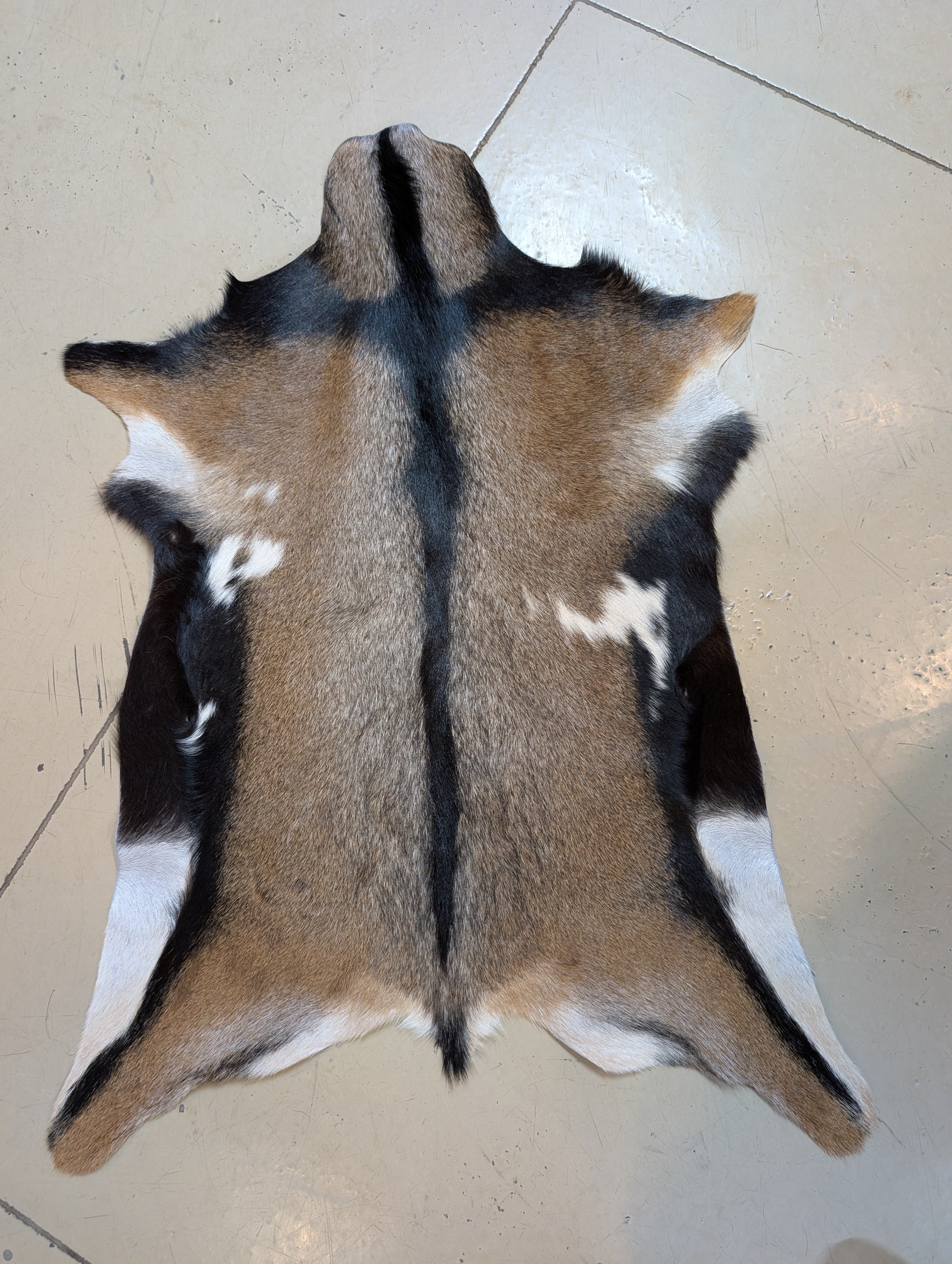 Genuine Goat Hide "Boomer"