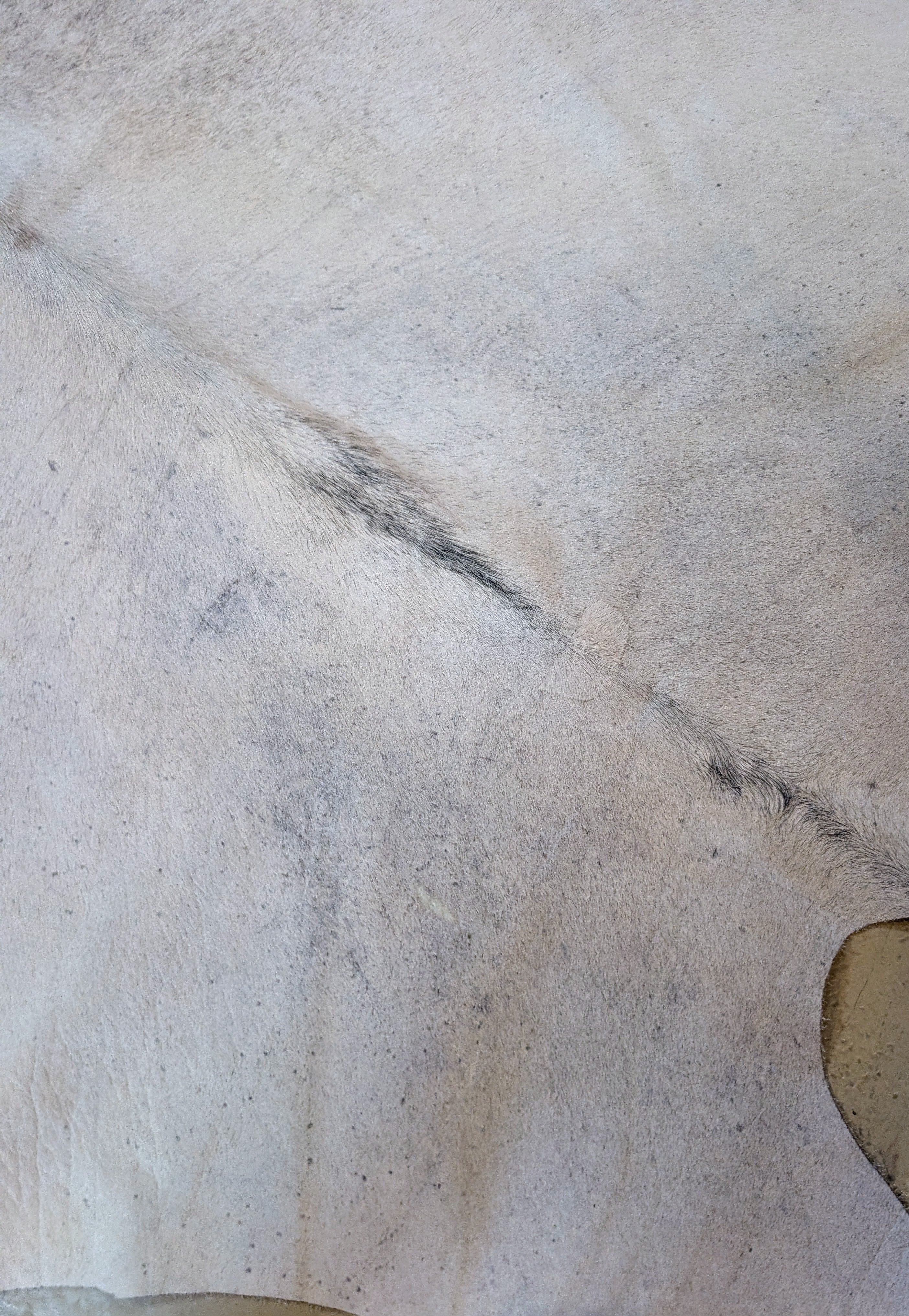 "Ferret" Full Cowhide