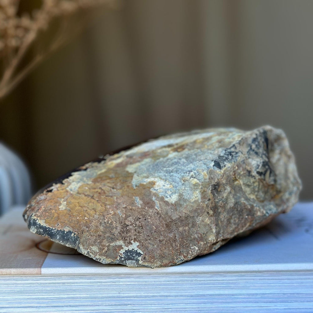 Huge Authentic Amethyst Geode Cave