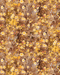 Cali Flowers Wallpaper, sunshine