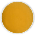 Posh Circle Mustard Yellow Throw Pillow Insert