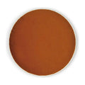 Posh Circle Sedona Red Throw Pillow Insert