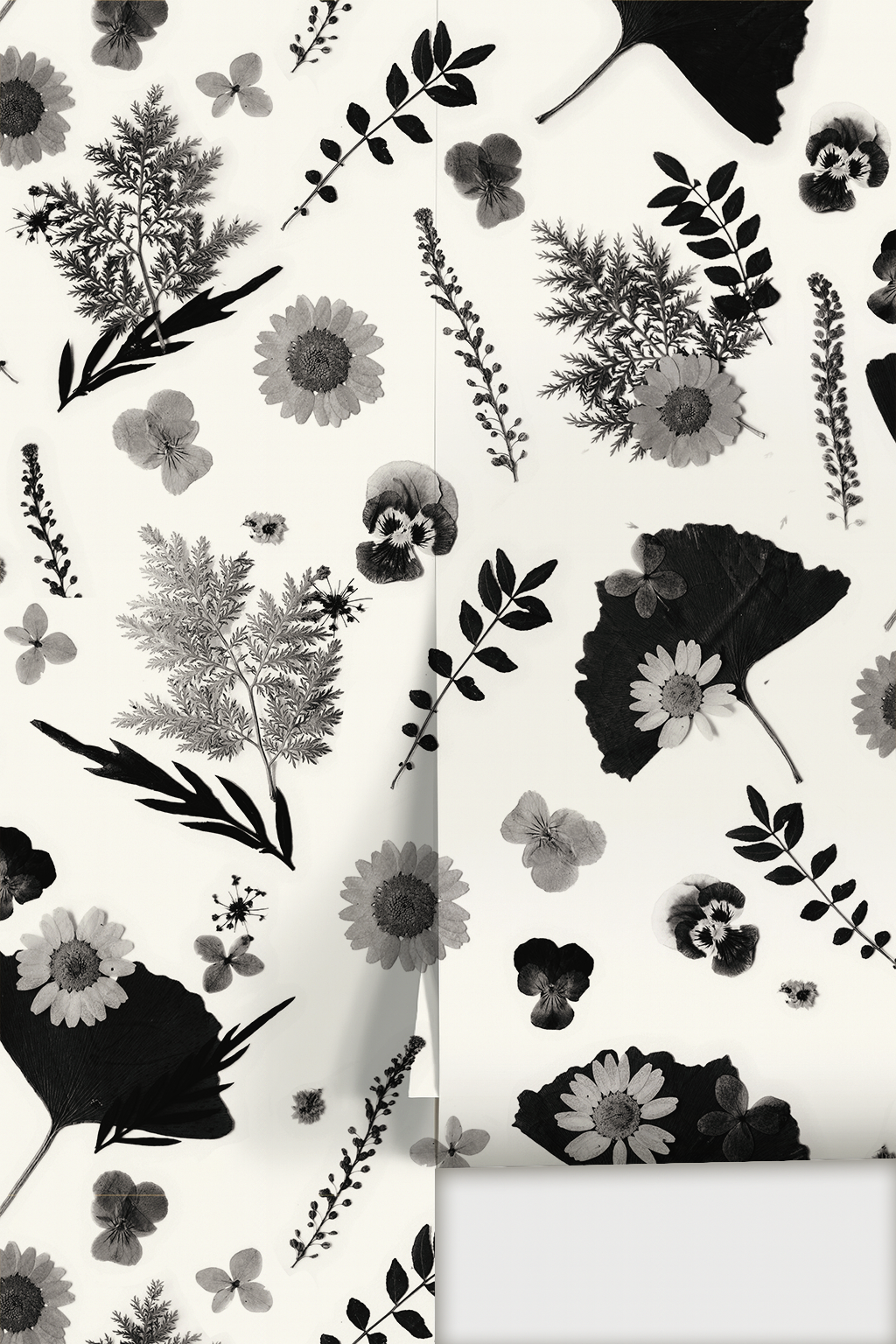 Pressed Fresh Version 01 Wallpaper, white and black
