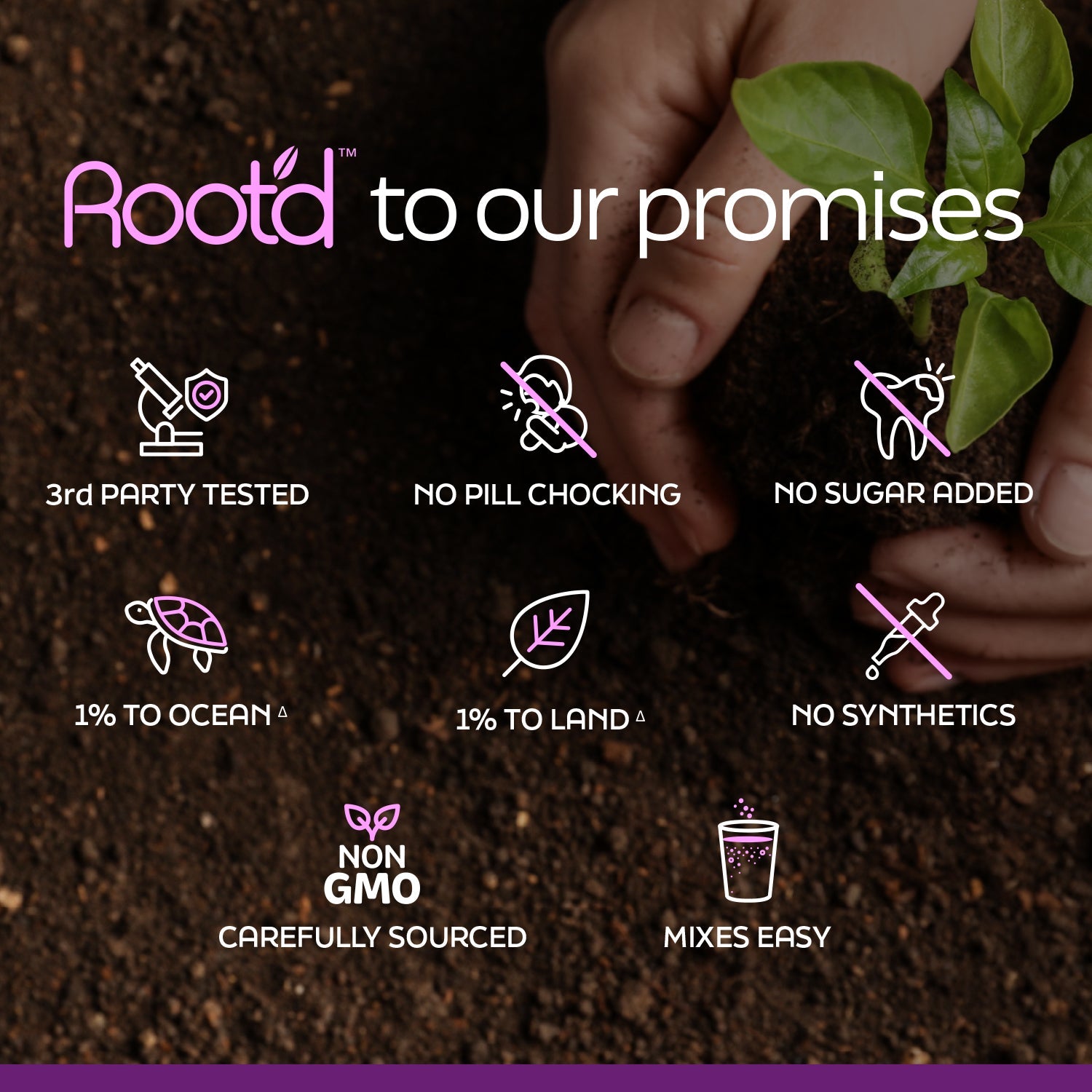 Growing Together Bundle - The Hydrating Multivitamin - For Future Mom & Dad