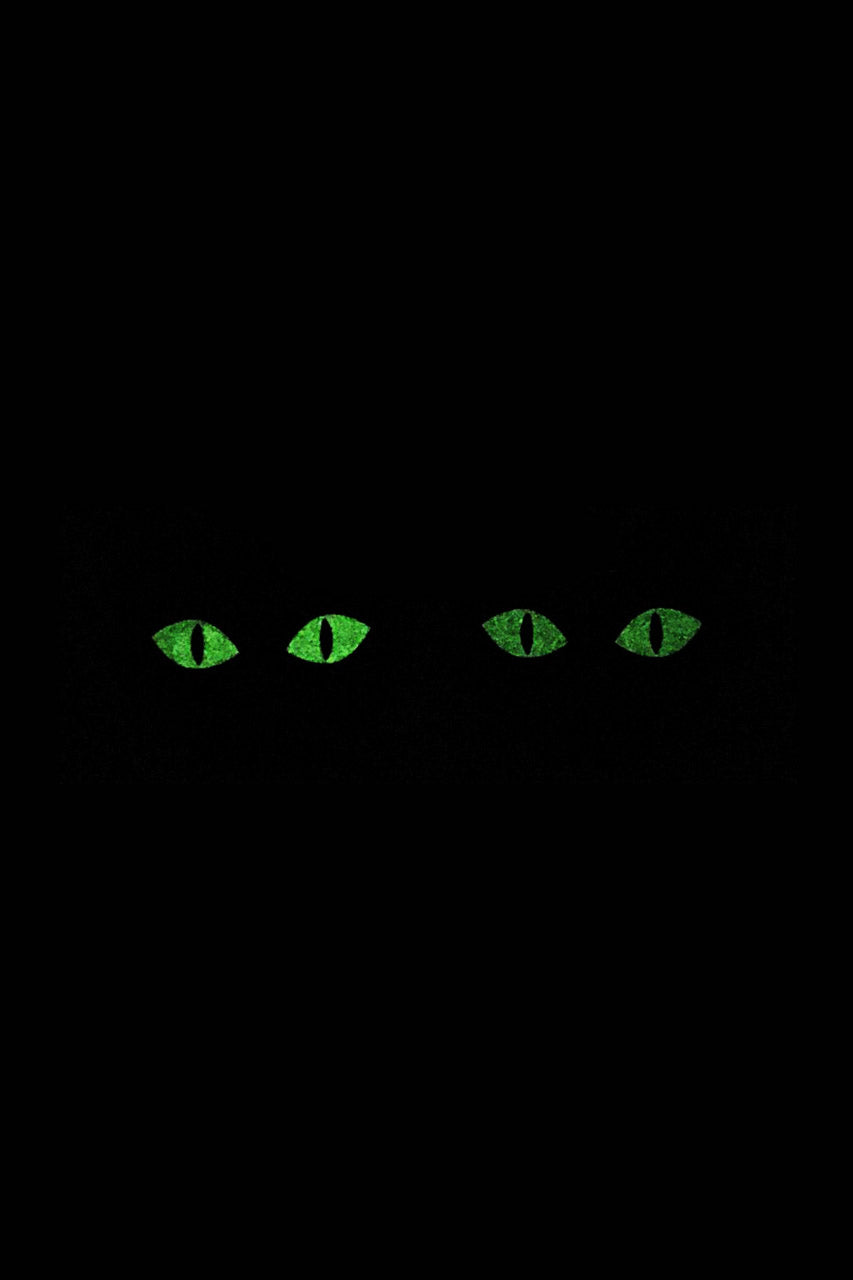 Glow In The Dark Cat Pasties
