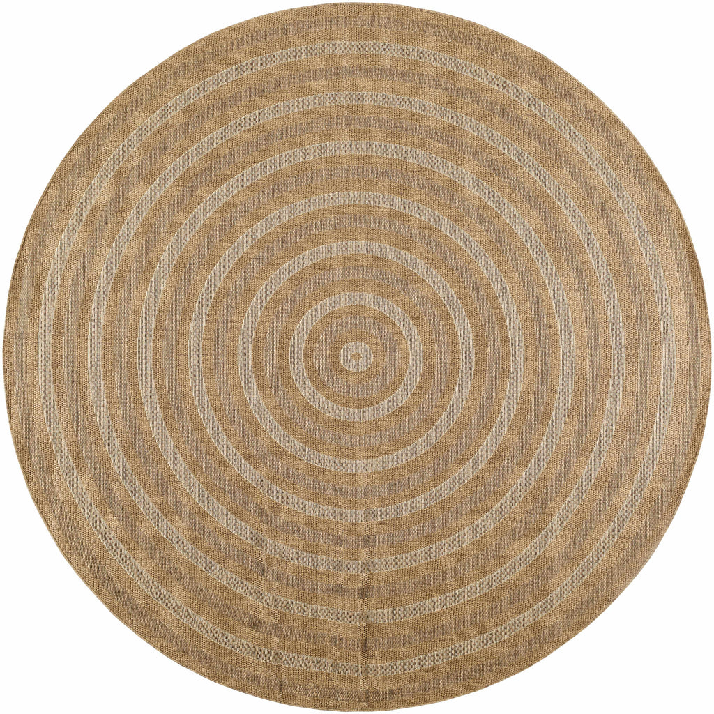 Dyami Flatweave Faux Jute Rug