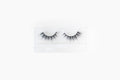 Shibuya Lashes by Kawaii Girl Cosmetics