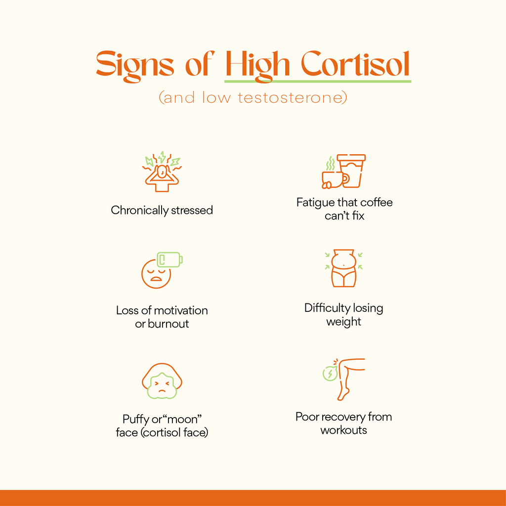 Cortisol, Who?