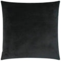 Stream Black Throw Pillow With Insert