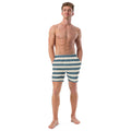 Blue Stripe Print Men's Recycled Swim Trunks