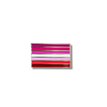 Lesbian Pride Flag Pin - Hard Enamel Lapel Pin With Secure Double Posts