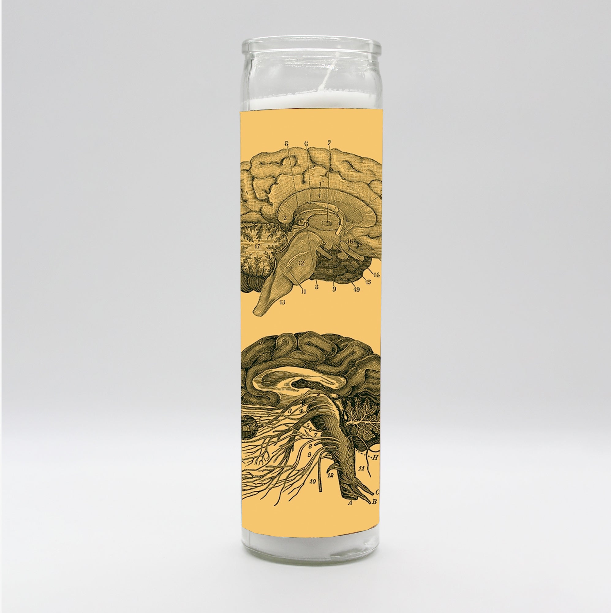 Saint Anatomy Brain Candle