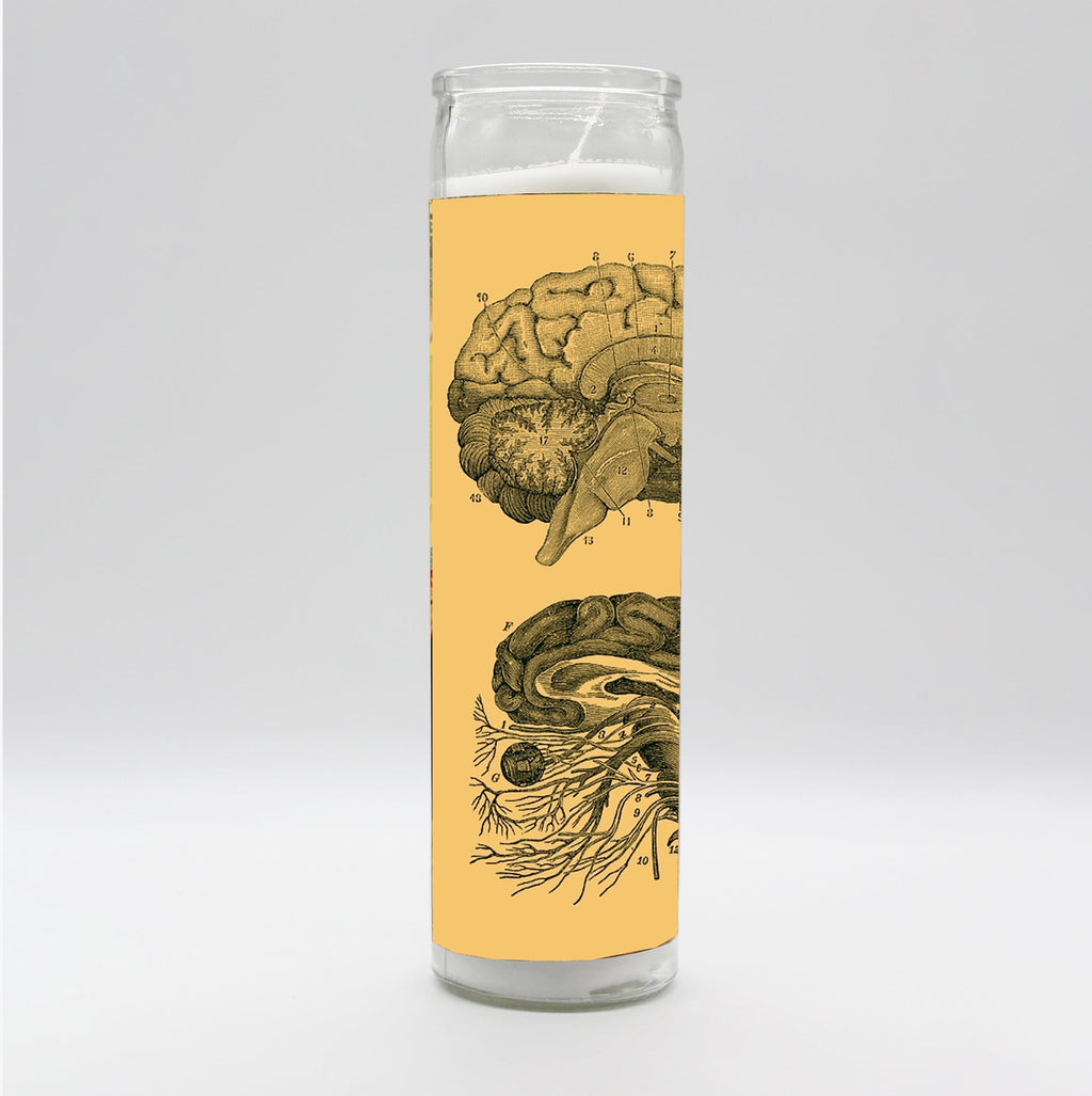 Saint Anatomy Brain Candle