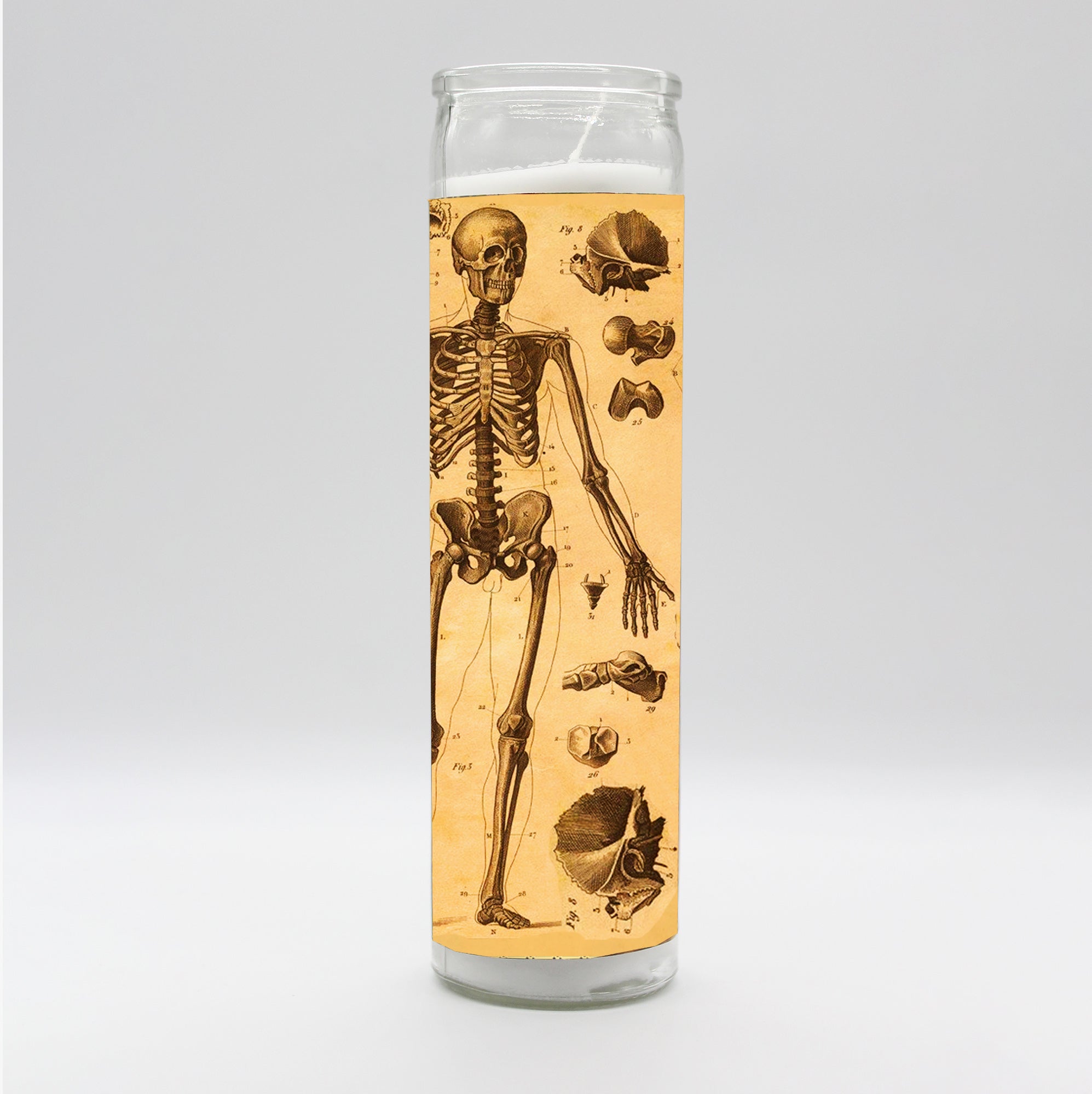 Saint Anatomy Skeleton Candle