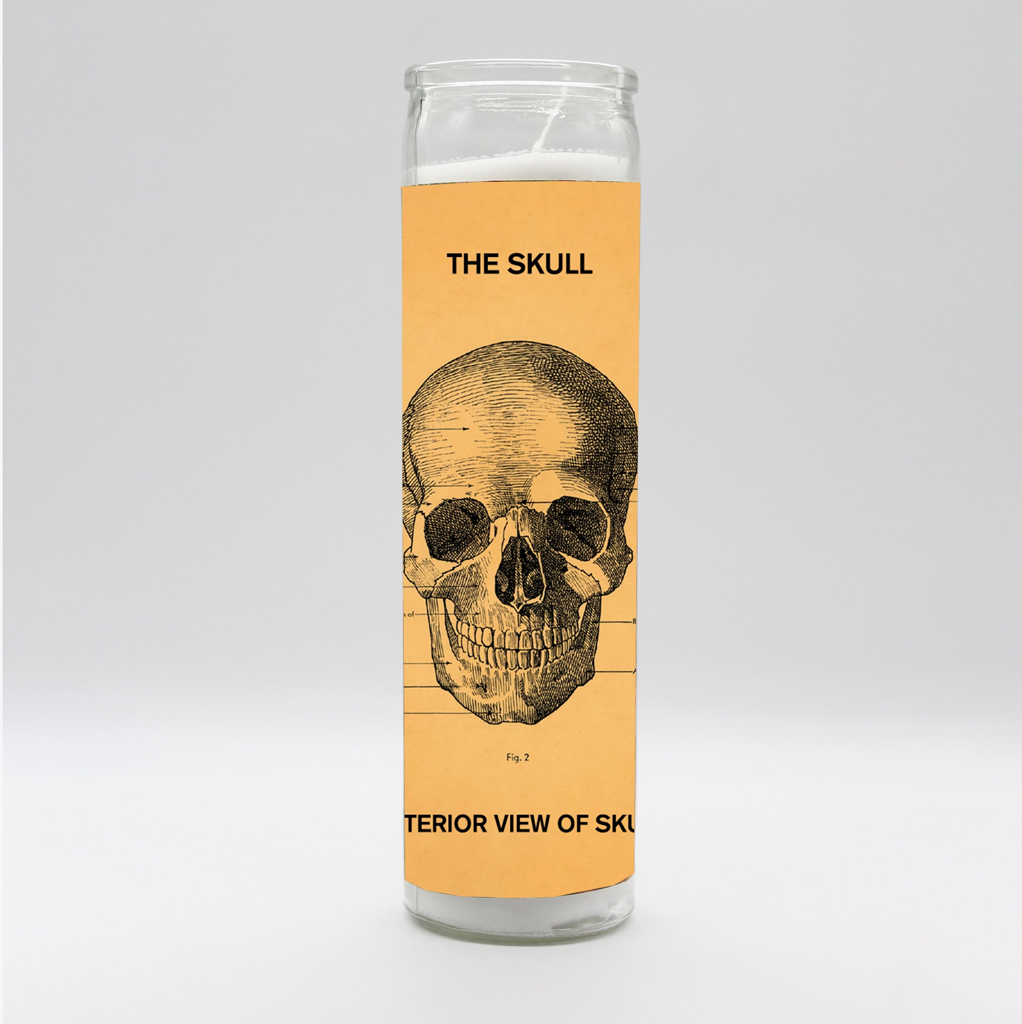 Saint Anatomy Skull Candle