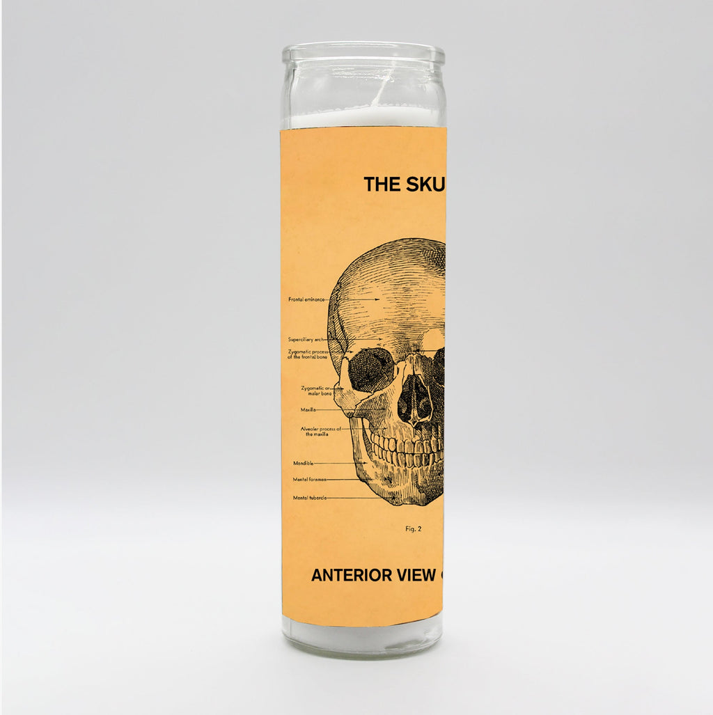 Saint Anatomy Skull Candle
