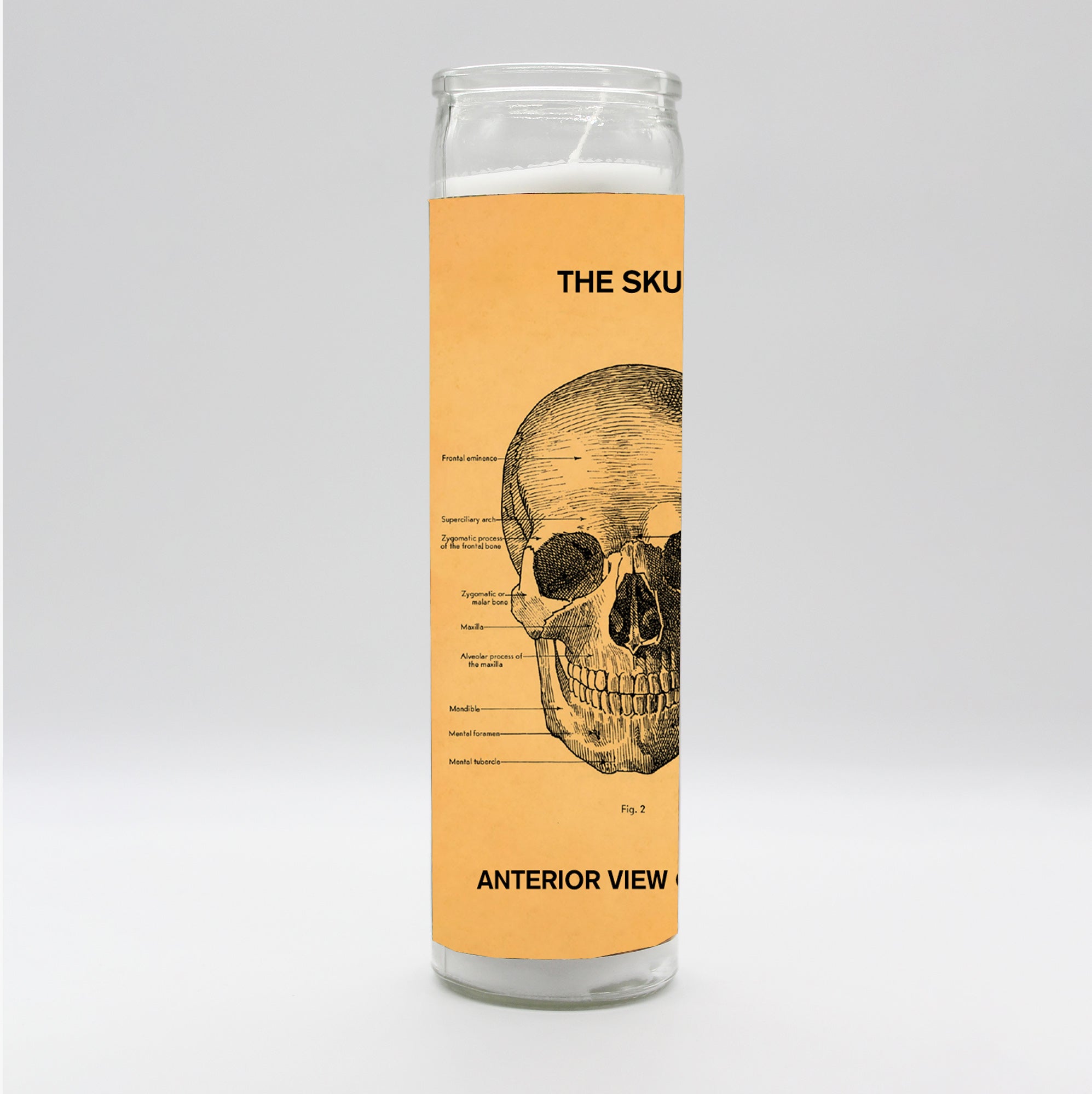 Saint Anatomy Skull Candle
