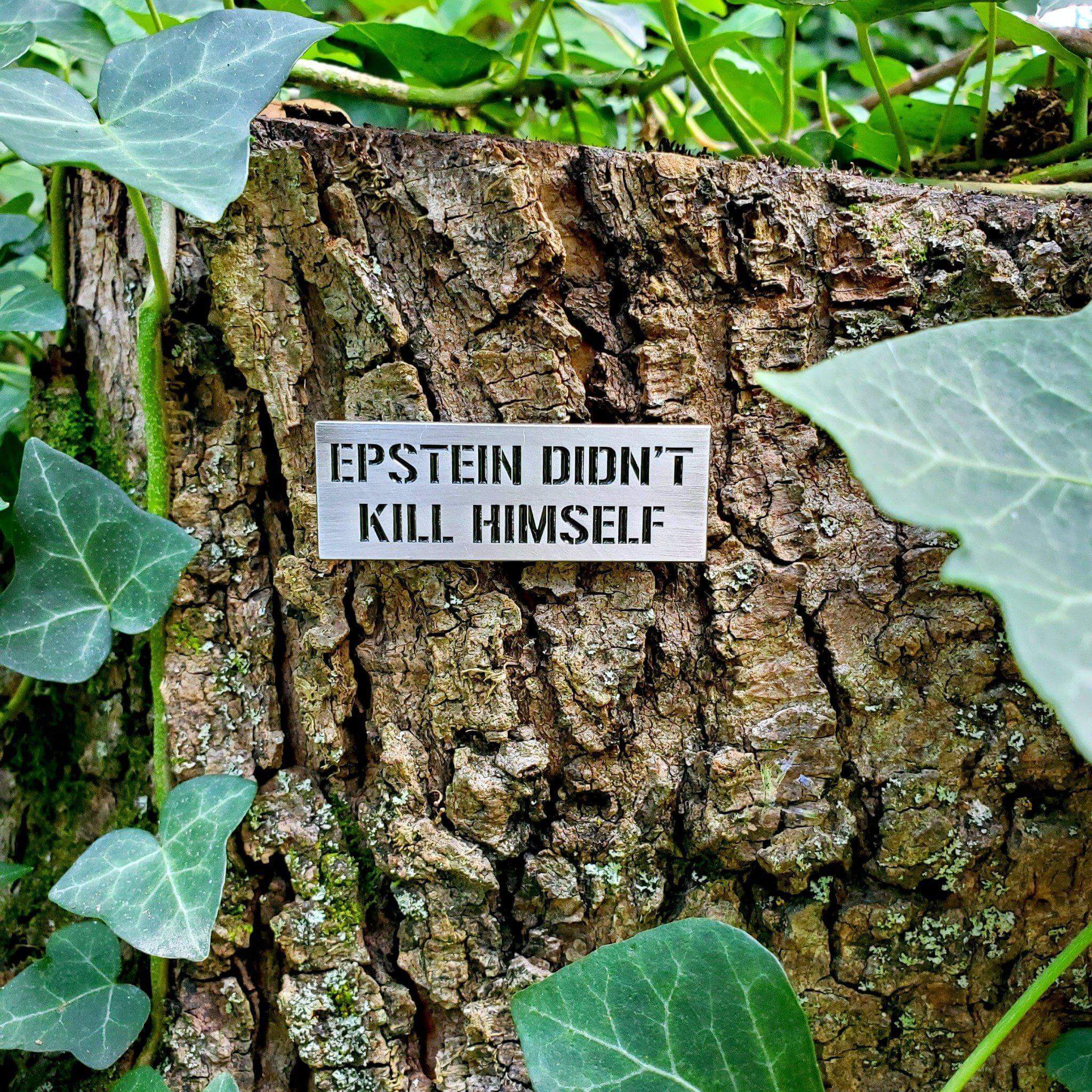 "Epstein Didn't Kill Himself" Pin