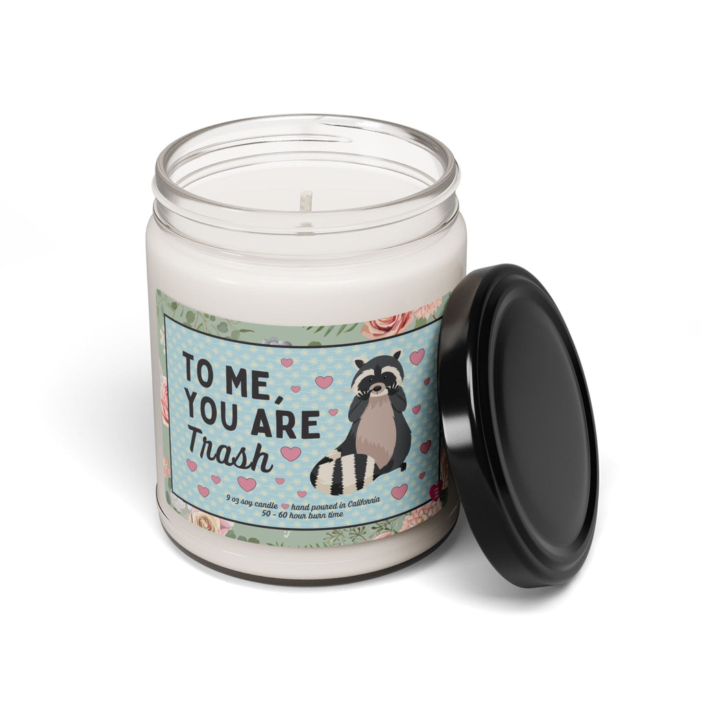 Funny Raccoon Candle
