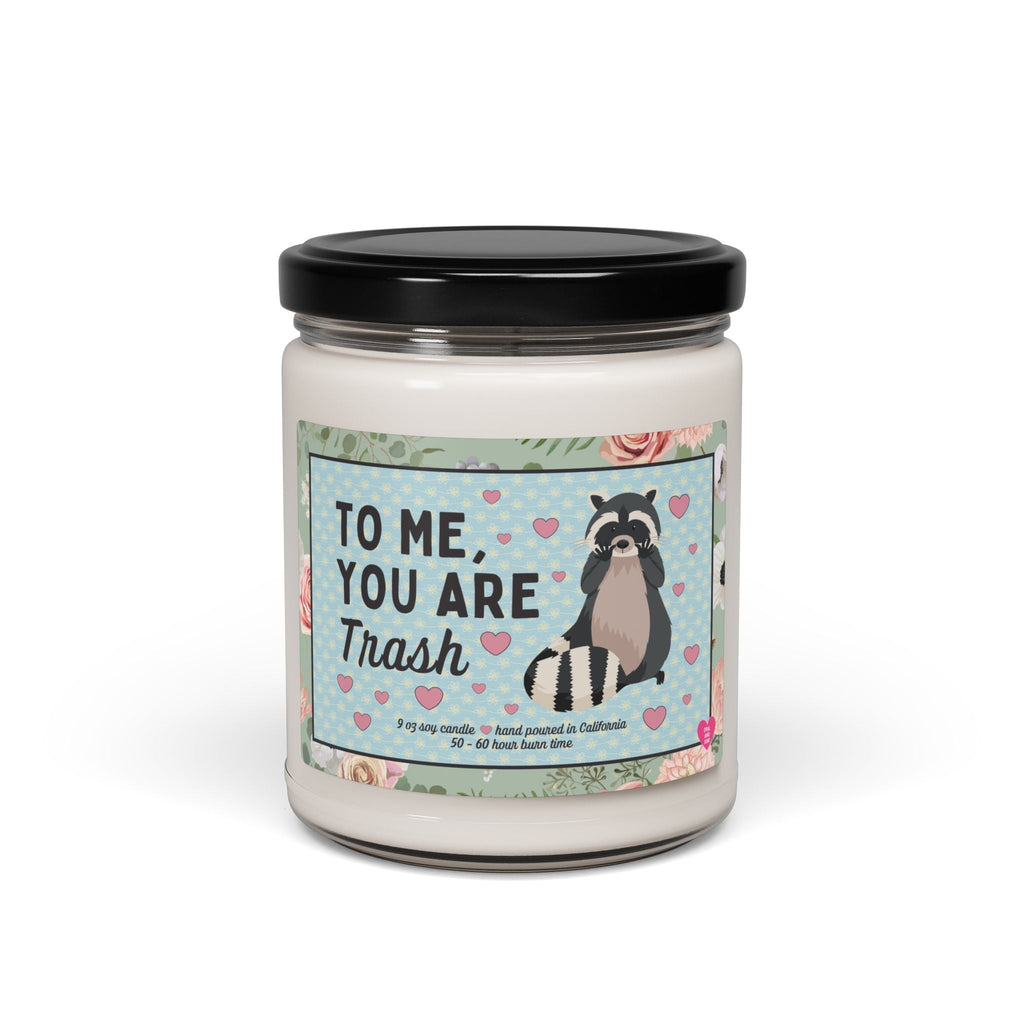 Funny Raccoon Candle
