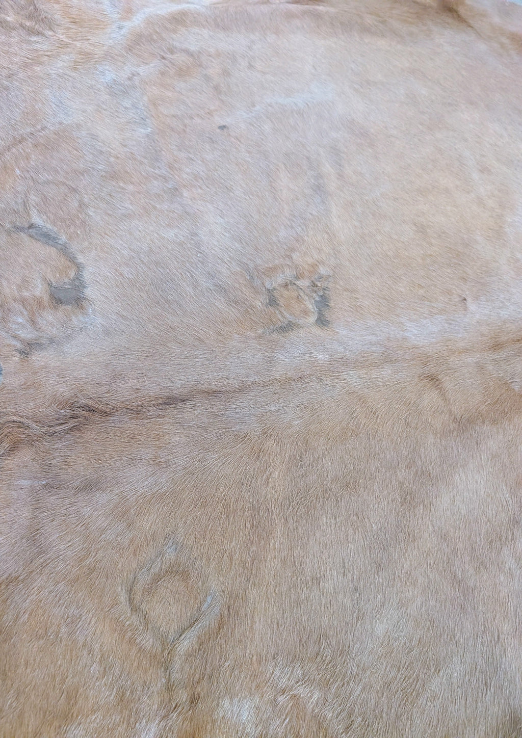 "Twinkie" Genuine Blonde Branded Cowhide