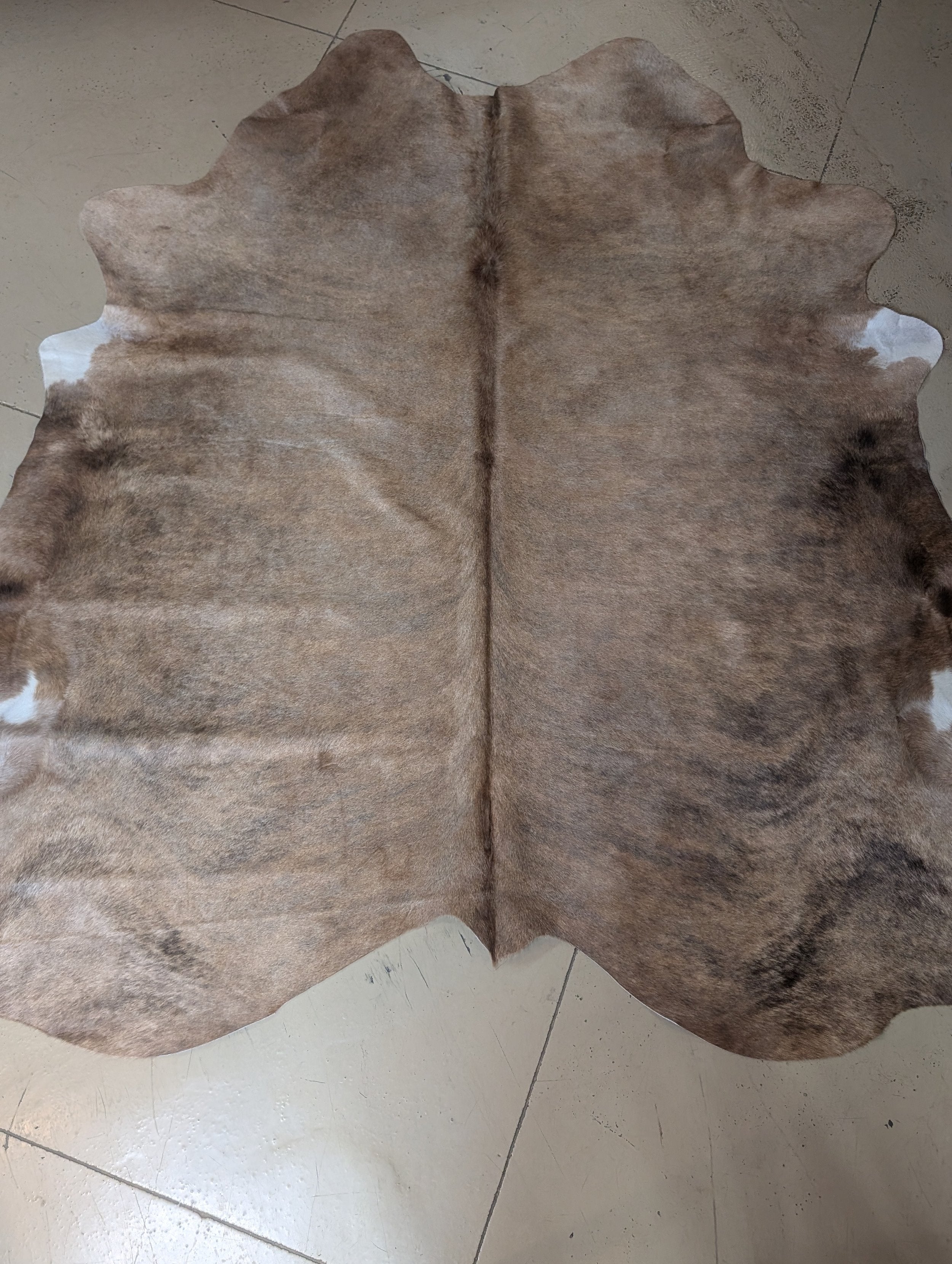 "Goldie" Full Cowhide
