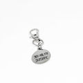 You Are My Sunshine Stainless Steel Engraved Clip On Charm Inspirational Gift For Mom Daughter Friend Keychain Bag Charm Accessory