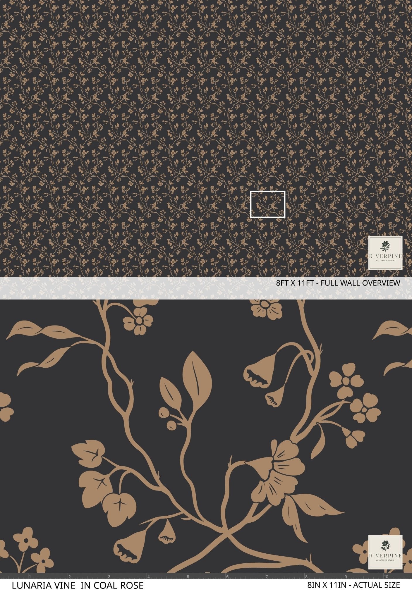 Lunaria Vine Wallpaper in Coal Rose