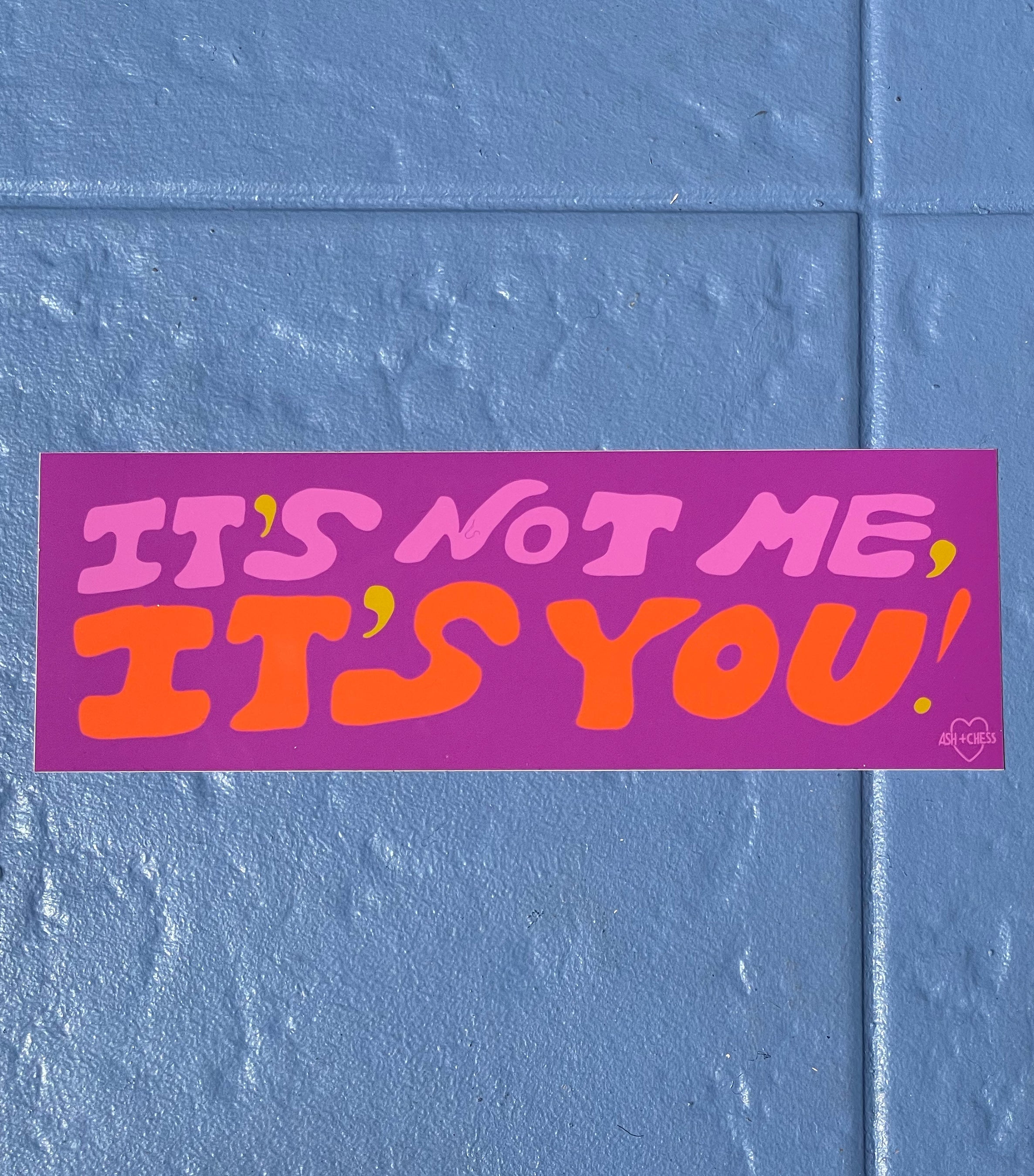 It's Not Me, It's You Bumper Sticker