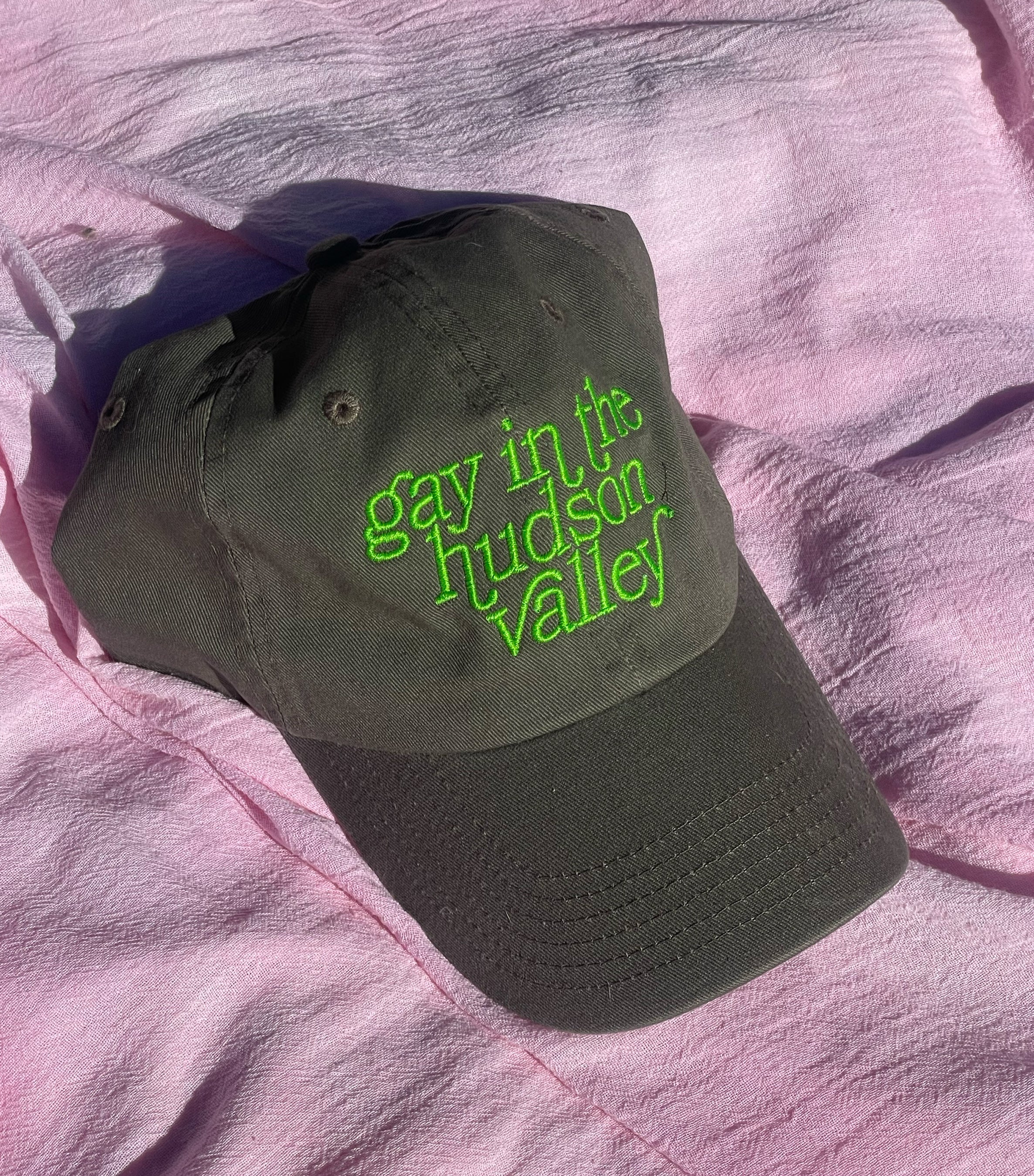 Gay In The Hudson Valley Dad Hat SWAMP