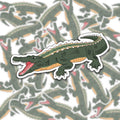 Gator Bumper Sticker